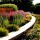 Jones Road Garden, Naturalistic Design by Adam Woodruff