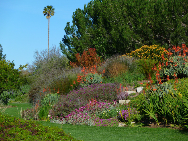 The South African garden at Leaning Pine Arboretum. Photo: Mike Bush 